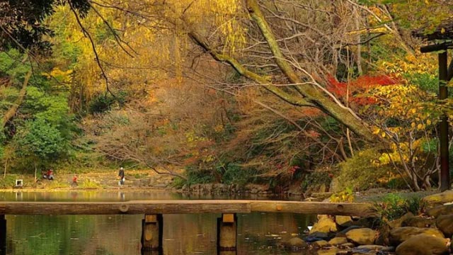 在东京大学读书是什么样的体验？